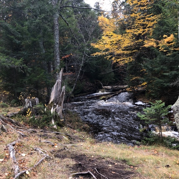 Meet your Posher, Amy - Picture 1 of 1